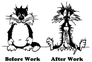 Before and after work